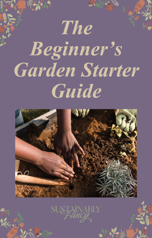 The Beginner's Garden Starter Guide